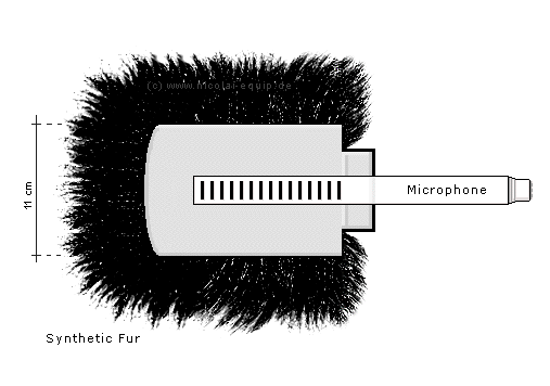 Basic structure